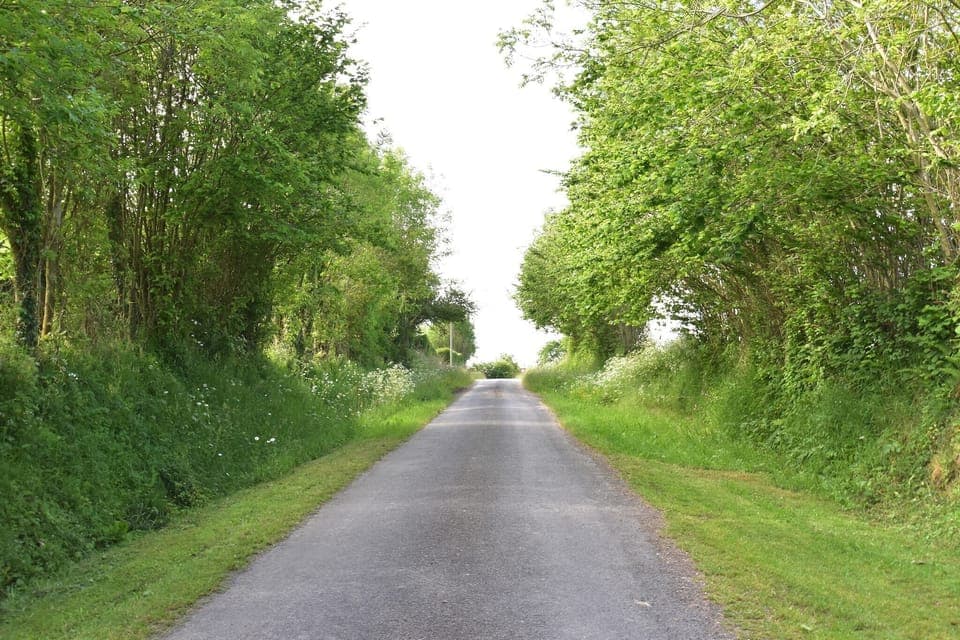 Immediate Surroundings [summer] (<1 km)