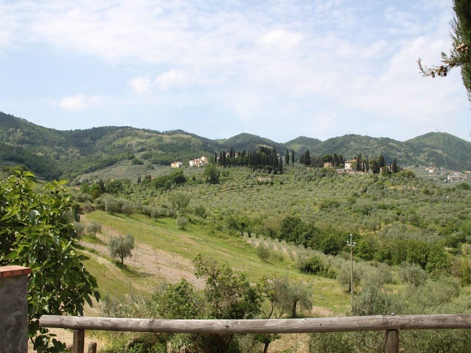 View from Holiday Home [summer]