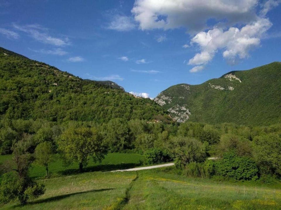 Region [summer] (>5 km)