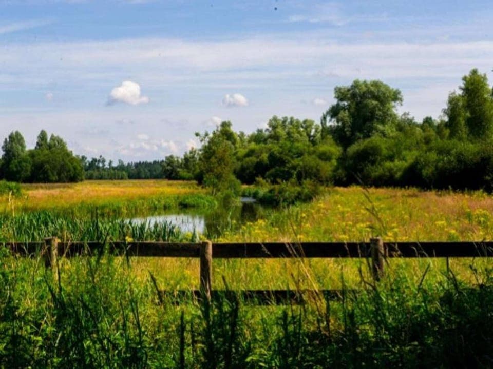 Region [summer] (>5 km)