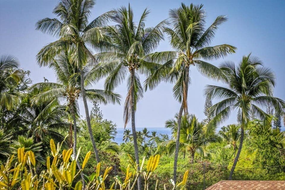 Ocean view in Horizon!