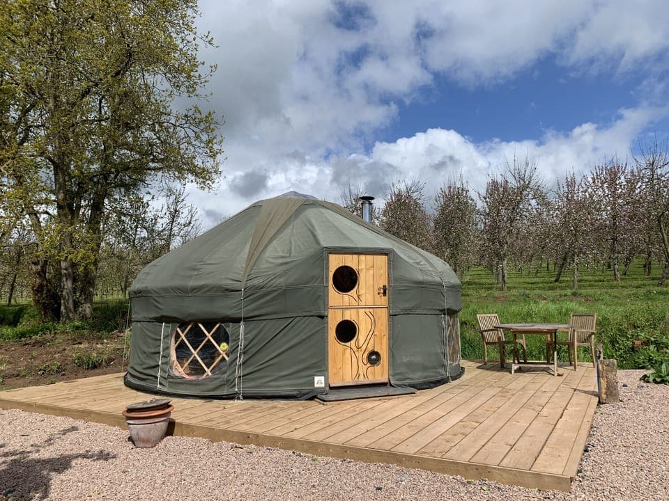 Cai Yurt surrounded by trees in the orchard