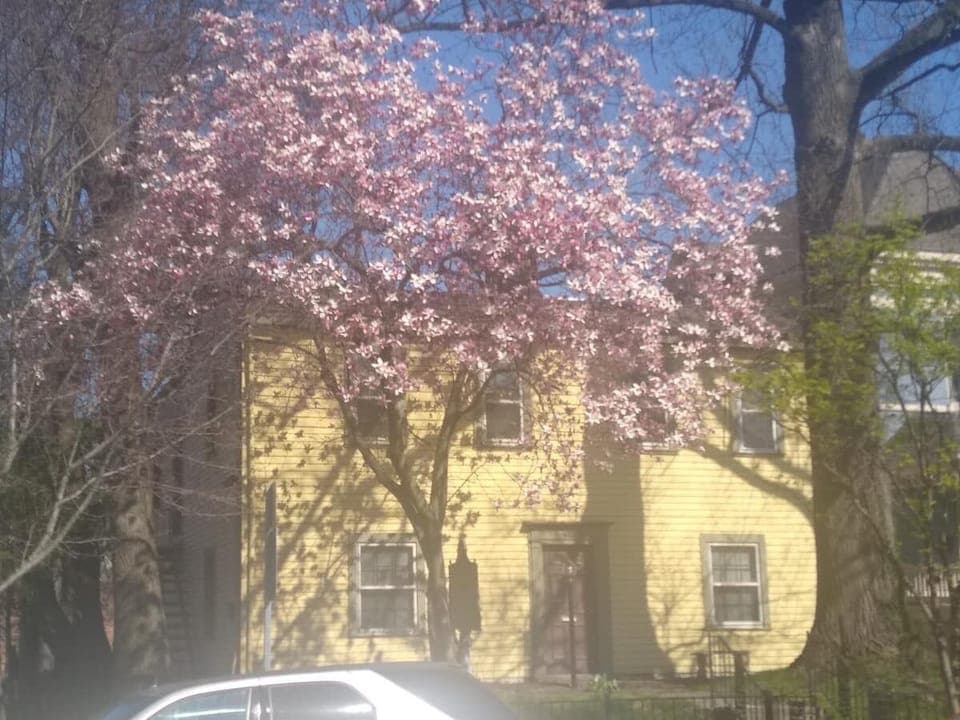 Spring Blooms at the Clayton-Bullock House!