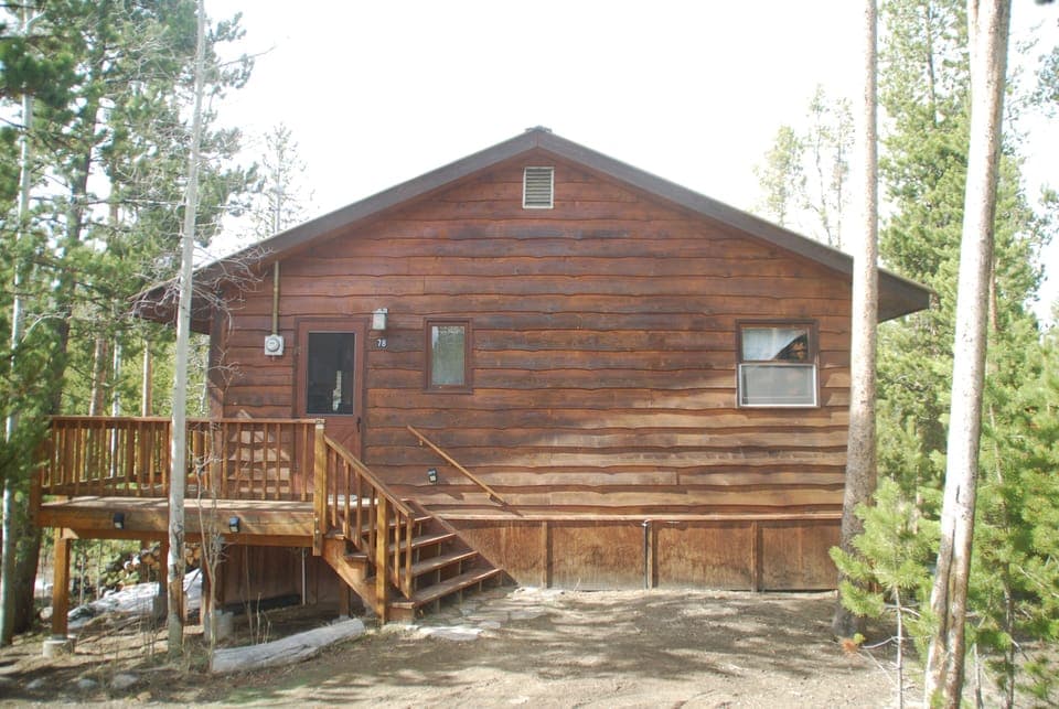 Great Cabin nestled in the trees!