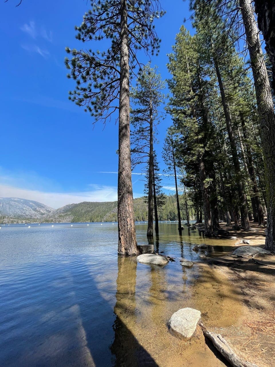 Pinecrest Lake May 2022