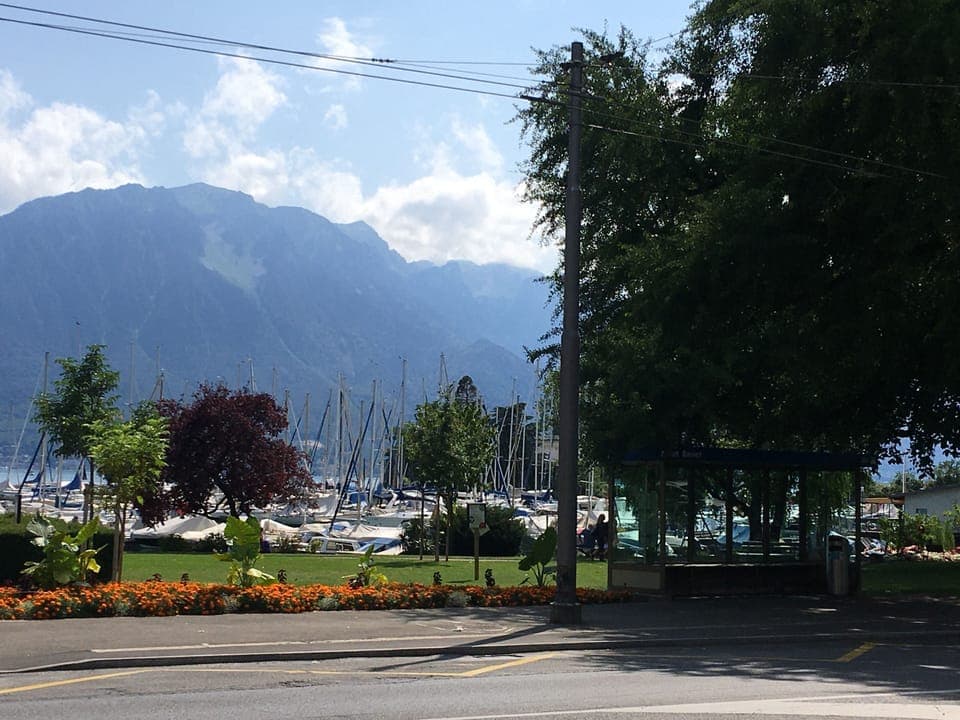 Port Basset PARK across street - bus stop both sides - BASSET 