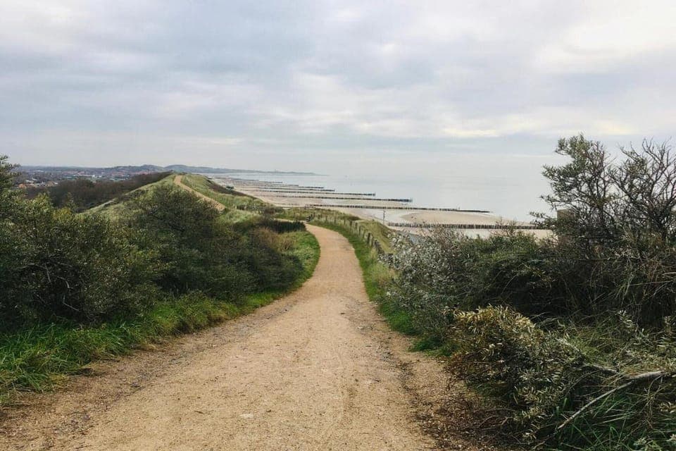 Region [summer] (>5 km)