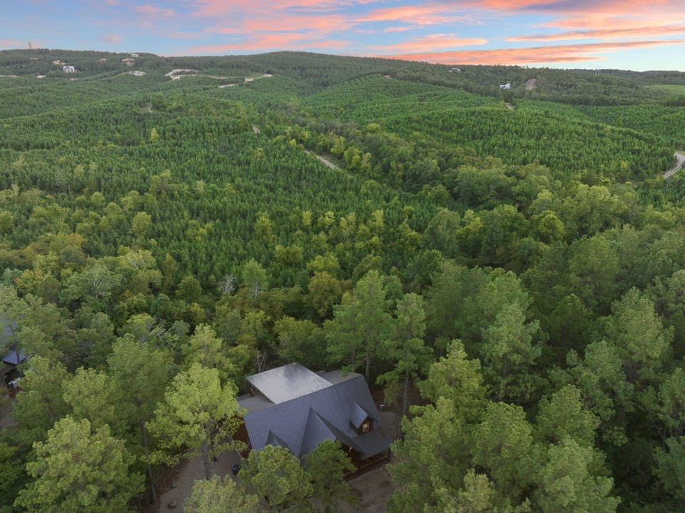 Nestled among towering pines!