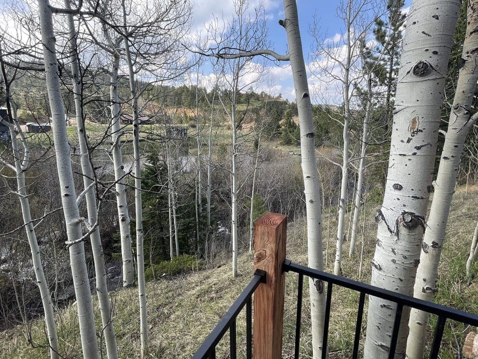 BunkHouse View from Deck