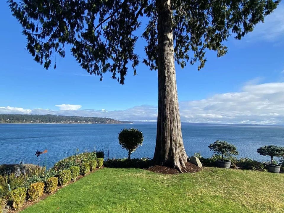 back yard facing the sea