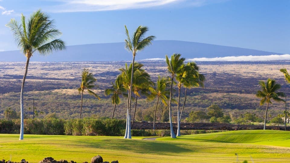 View of golf course with mountains in the background from the backyard