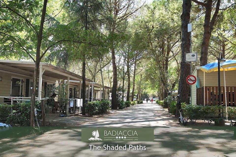 Immediate Surroundings [summer] (<1 km)