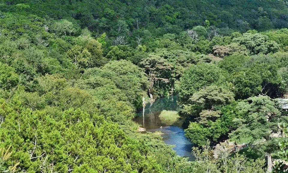 Stunning Guadalupe River View from the house.
