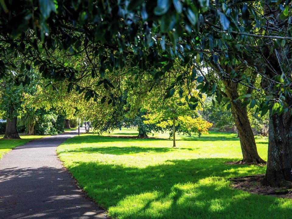 Surrounding area | High Gables, Paignton