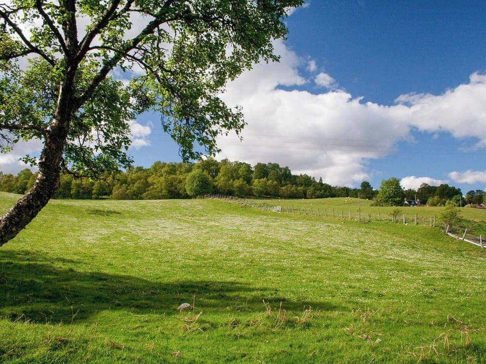 View | Treetops, Newtonmore