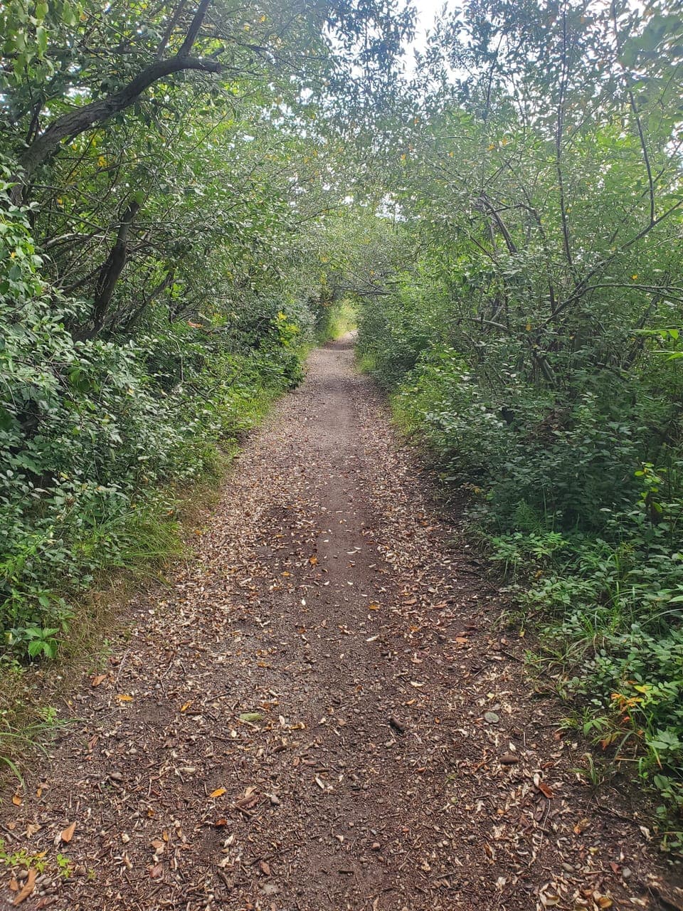 Baw Beese Trail.  