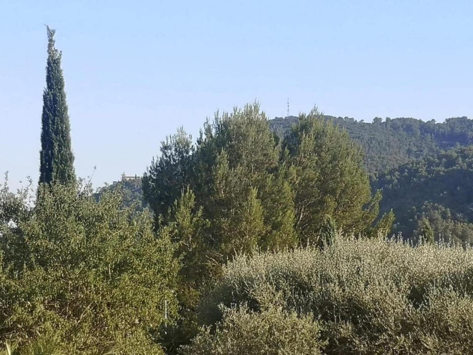 Region [summer] (>5 km)