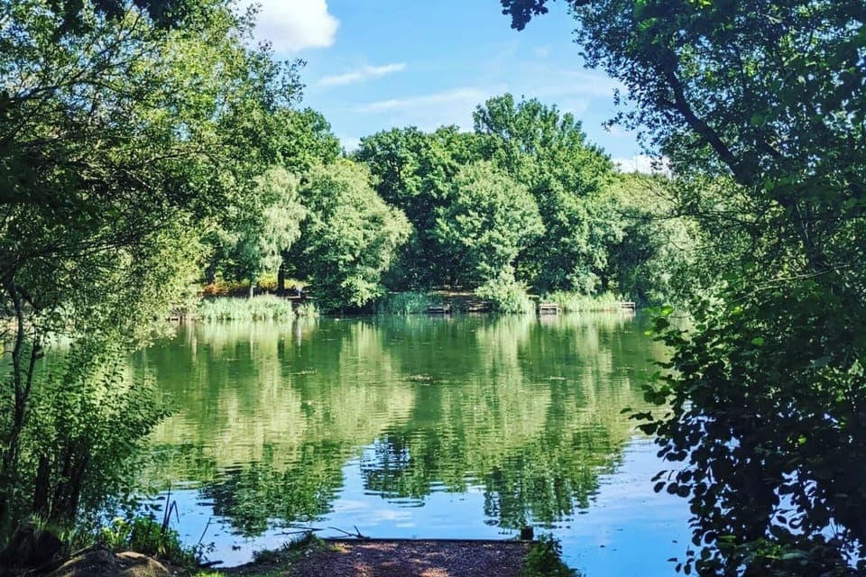 Beautiful Cannop Ponds part of the family cycling trail. The perfect place for a picnic