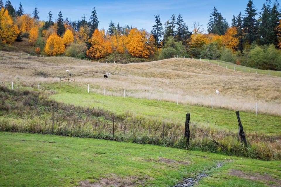 Pasture View from Covered Porch