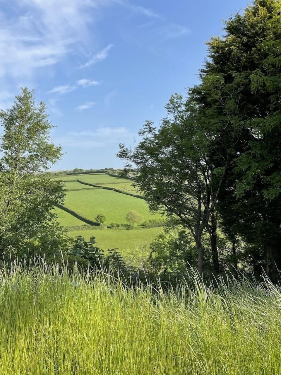 Views from fern Lodge