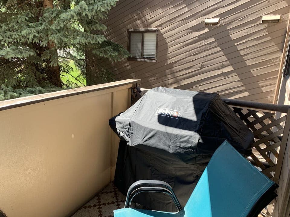 New Weber Gas Grill