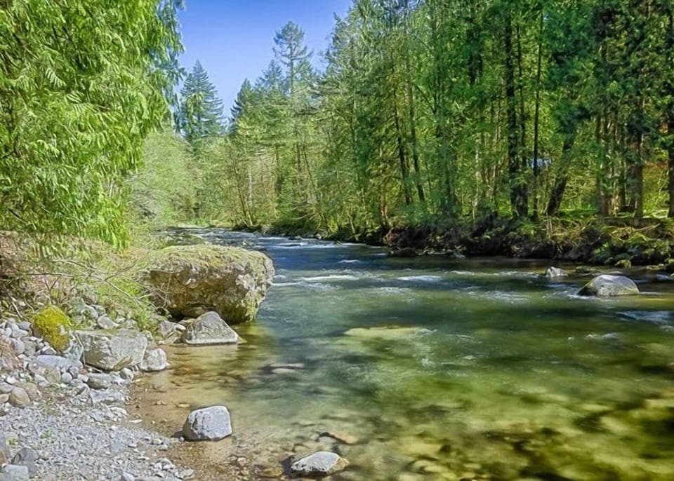 Dream Catcher Cabin-Salmon River