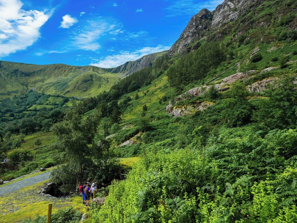 Surrounding area | Bwthyn Llys (Machynlleth Old Court House), Machynlleth