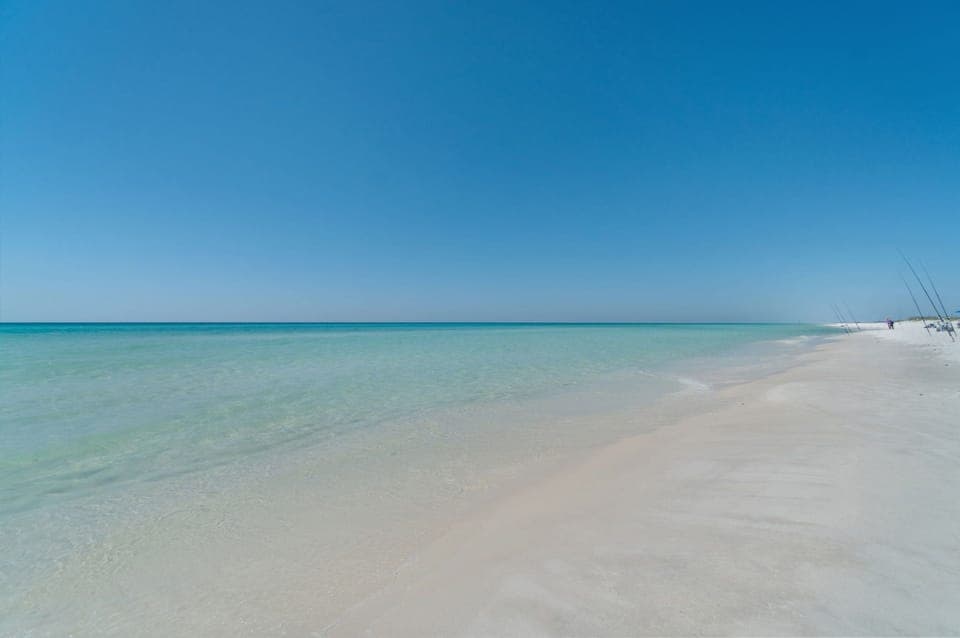 YOU deserve to be HERE! The Oasis awaits your reservations! 