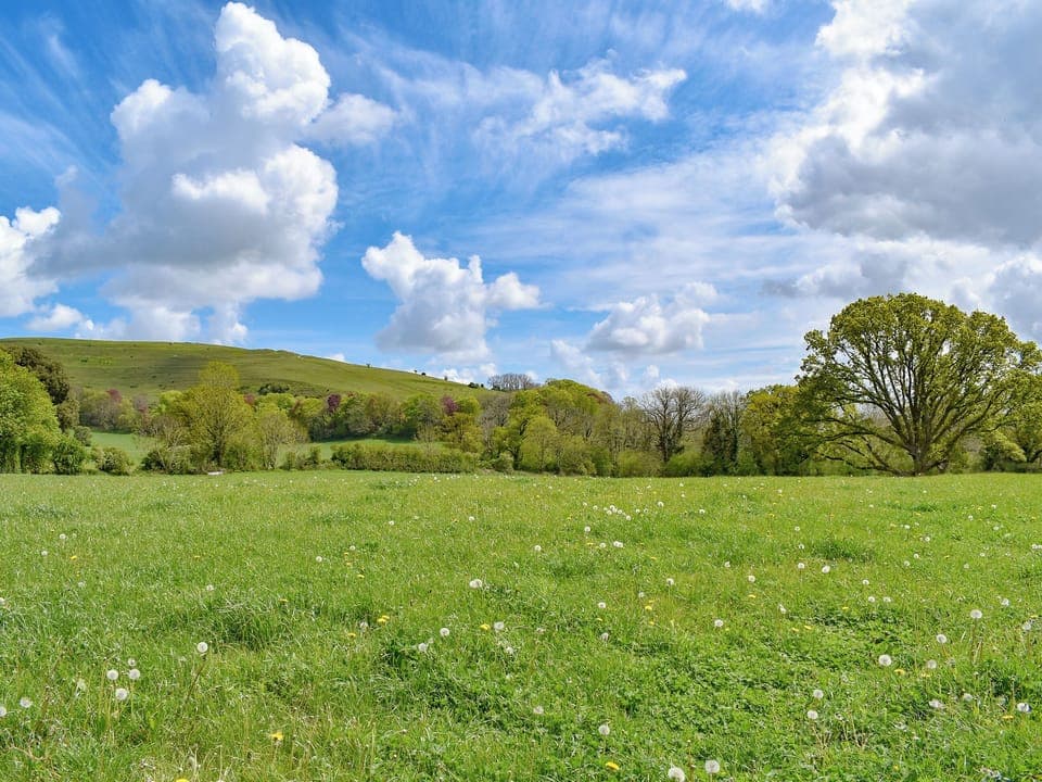 Hambledon Hill | The Willows, Hambledon Cottage Holidays - The Firs, The Oaks - Hambledon Cottage Holidays, Child Okeford, near Blandford Forum