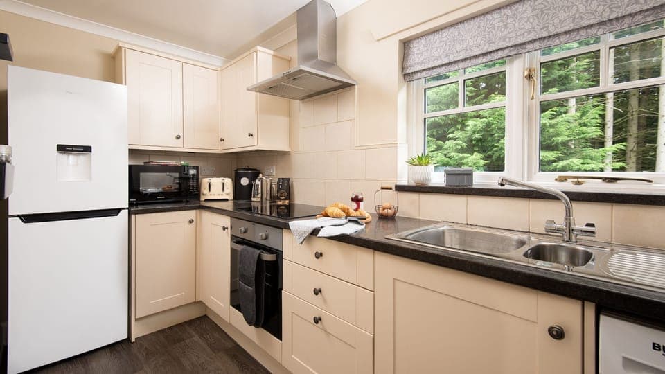 East Lodge at Ashiestiel - the galley style kitchen with views over to the forest