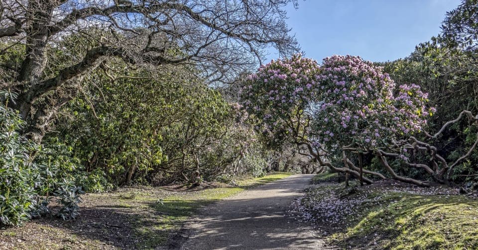 Nearby is the National Trust's Sheringham Park (famous for its stunning rhododendron display each Spring)