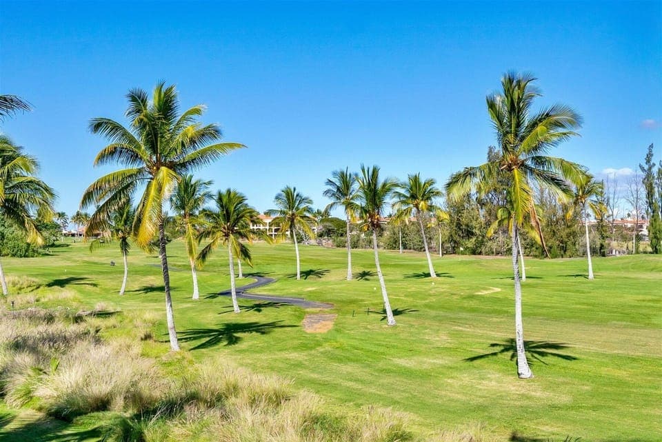 Golf course lined with tall palm trees under a clear sky.