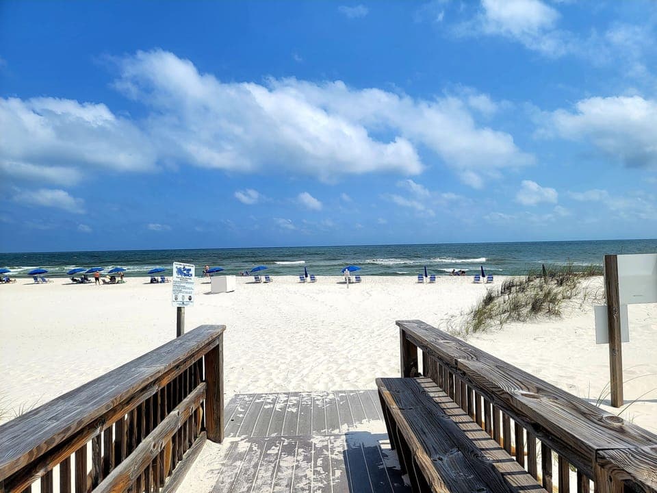 Boardwalk to the beach