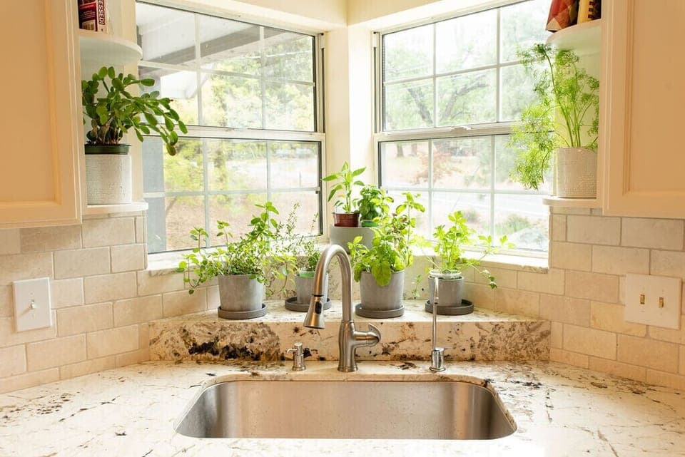 Feel free to use cuttings from the kitchen herbal garden. 