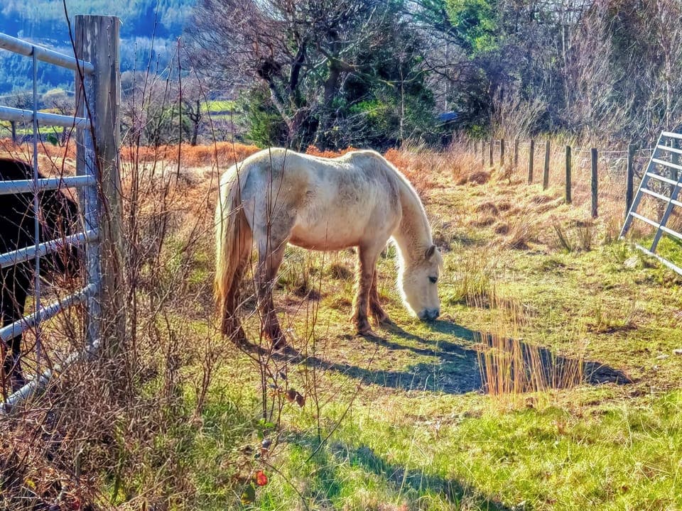 Surrounding area | Arthfan, Dolgellau