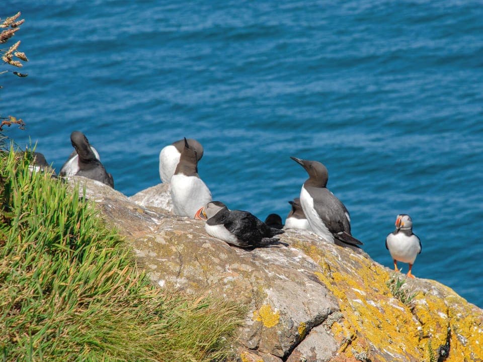 Outdoor area | The Hayloft, near Broad Haven and Little Haven