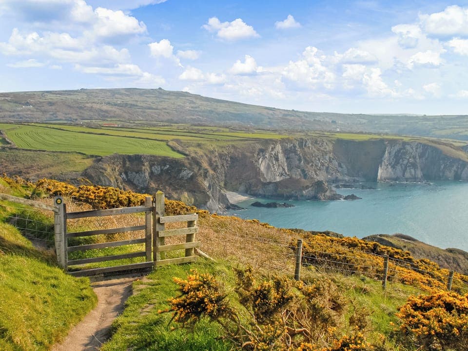 Outdoor area | Yr Hen Felin, Castlemorris