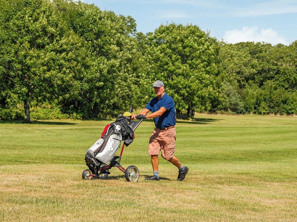 Outdoor area | Beacon Cottage, Near Porthgain