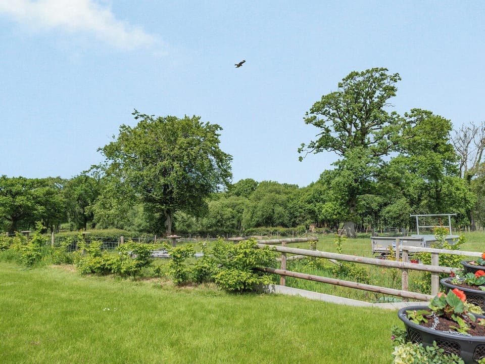Garden | The Old Cow Shed at Ty Hir, Cilcennin, near Aberaeron