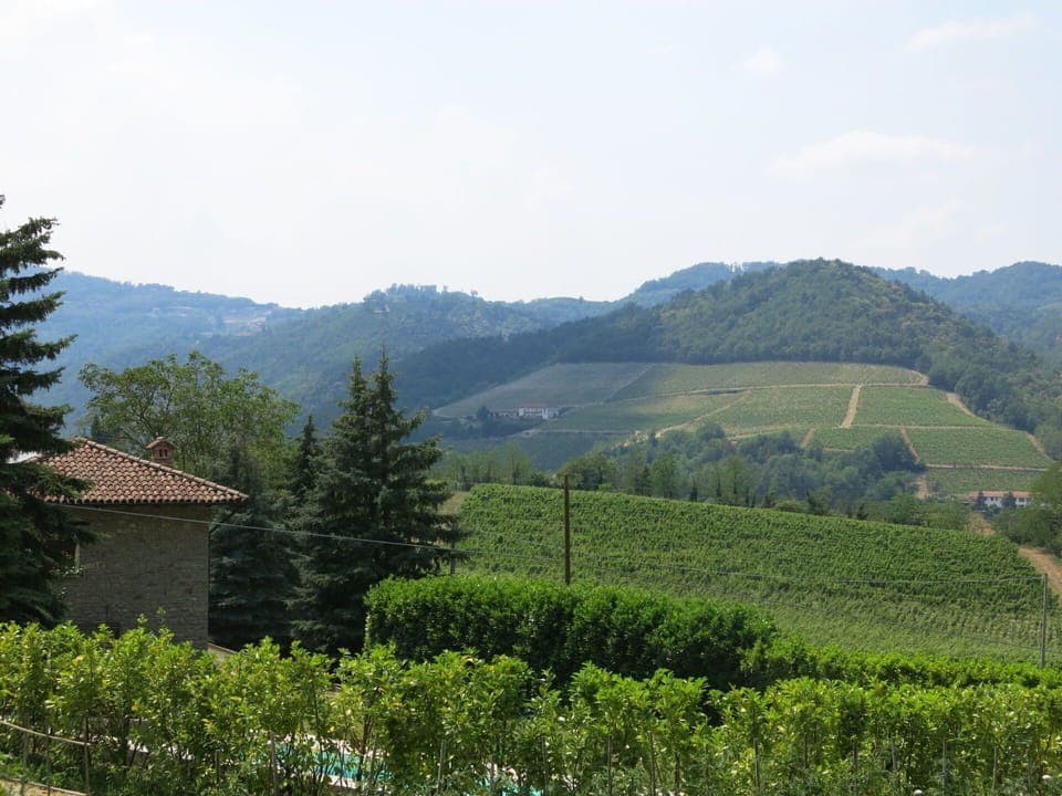 Sky, Mountain, Plant, Plant Community, Cloud, Ecoregion, Natural Landscape, Highland, Tree, Land Lot