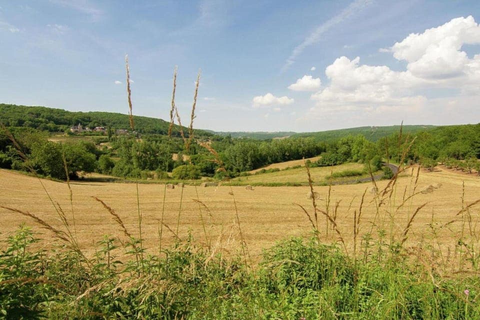 Region [summer] (>5 km)