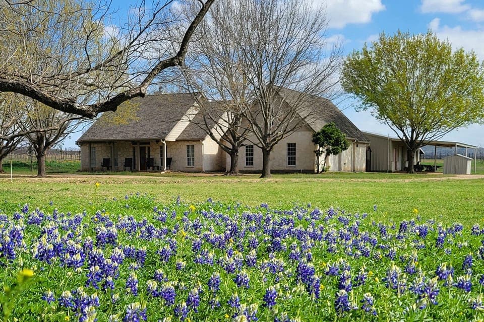 The perfect home base for Hill Country wildflower season.