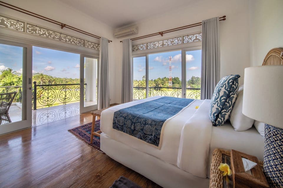 Views from the Dragonfly room