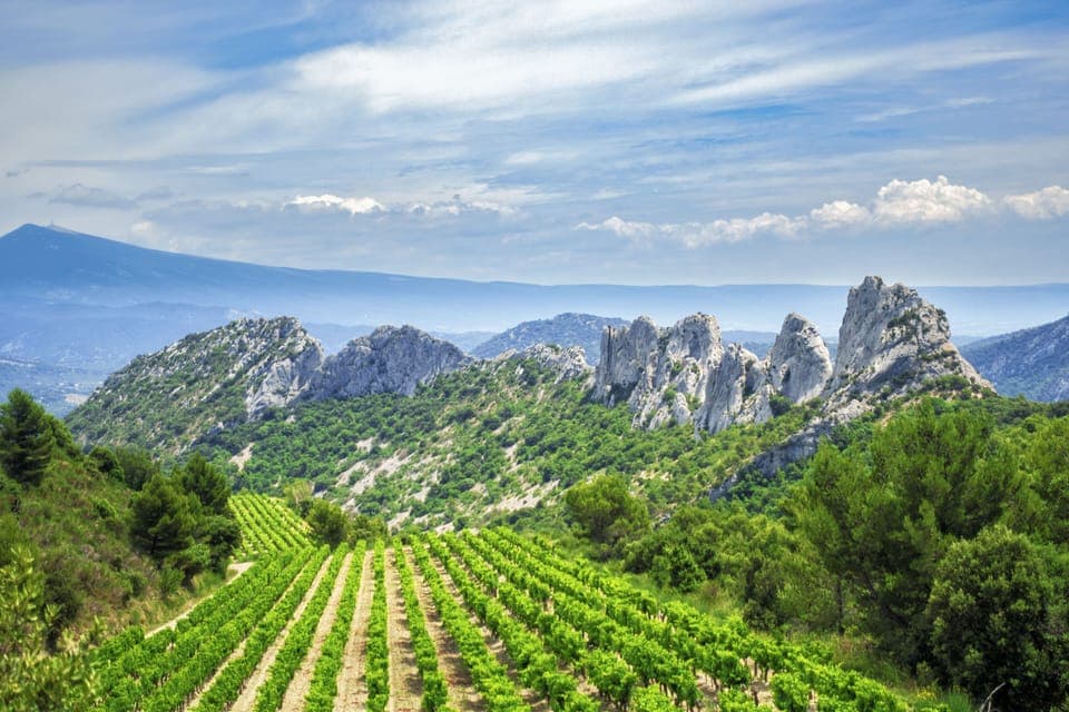 The stunning Dentelles de Montmirail and mont Ventoux plus famous Gigondas vines