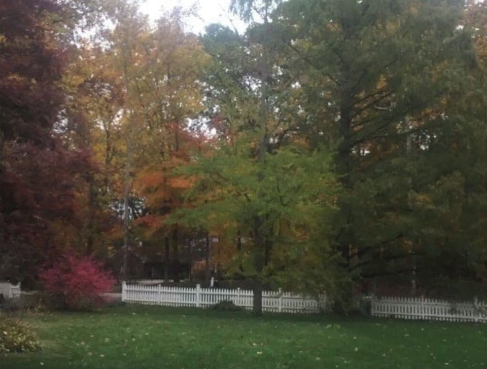 A tiny snapshot of the beautiful fall color here!