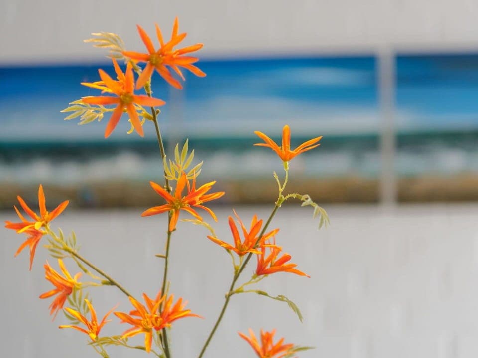 Sky, Plant, Building, Daytime, Property, Window, Tree, Architecture, Urban Design, Leisure