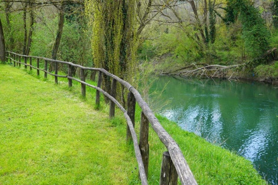 Region [summer] (>5 km)