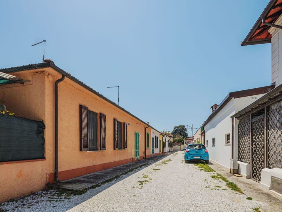 Furniture, Building, Table, Plant, Chair, Houseplant, Shade, Orange, Interior Design, Flooring