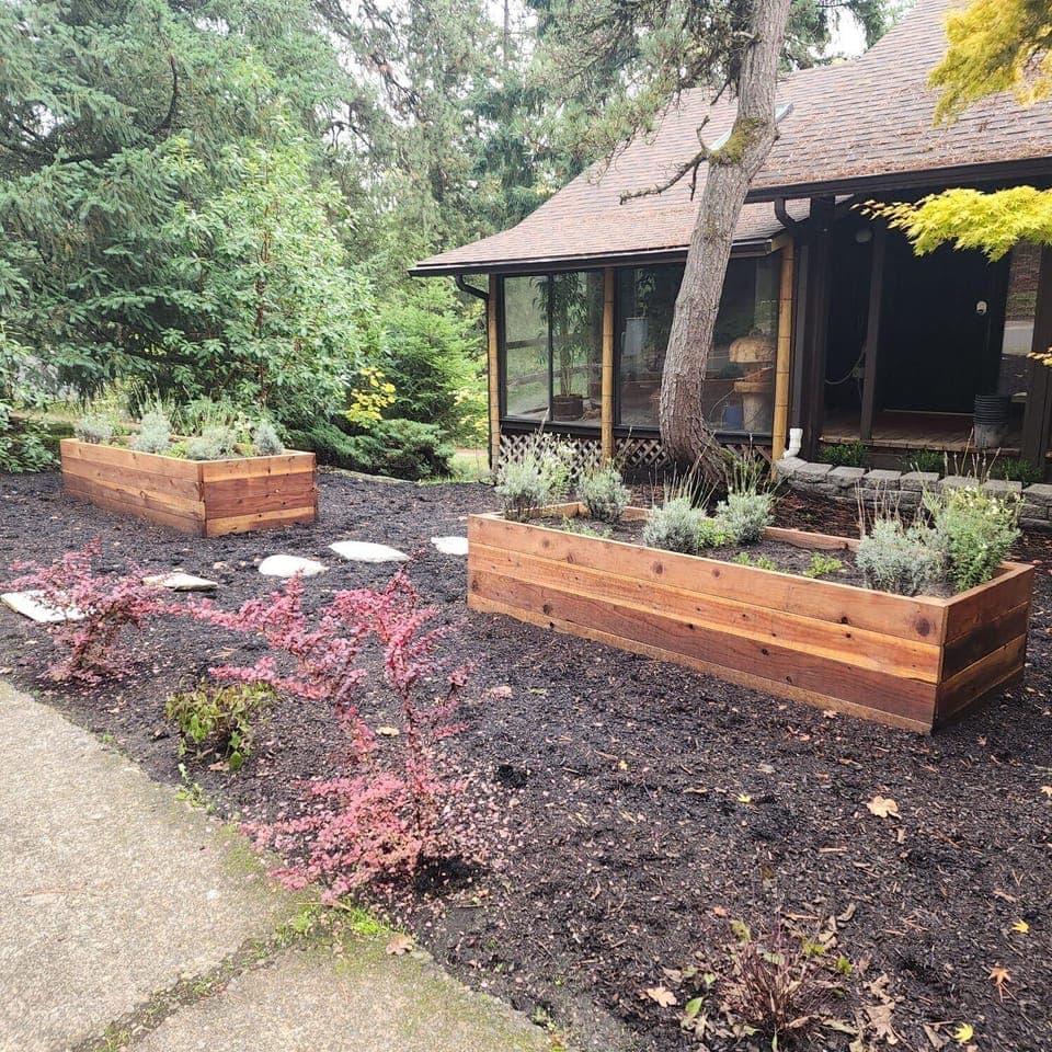 Recently landscaped front yard