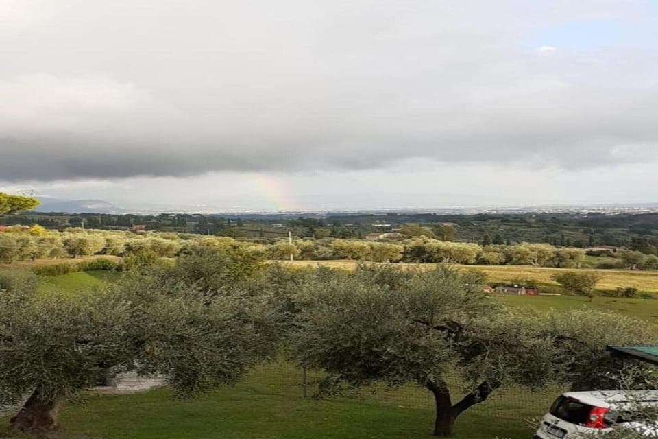 Region [summer] (>5 km)